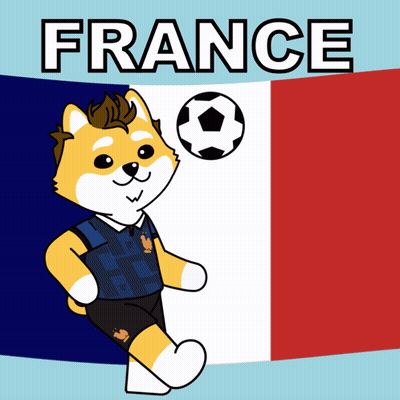 Cartoon Dog With Soccer Ball By France Flag GIF