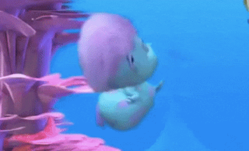 Cartoon Dolphin Swimming Near Coral GIF