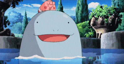 Cartoon Dolphin Swimming With Sponge On Head GIF