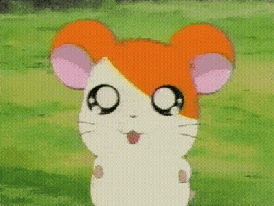 Cartoon Donkey Saying Ahem GIF