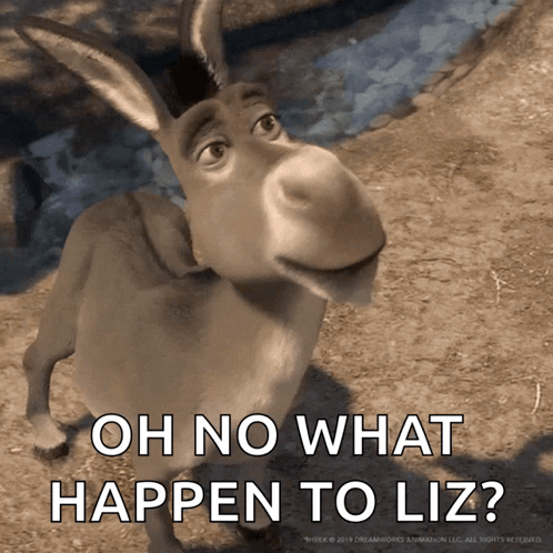 Cartoon Donkey Saying Oh No What Happen to Liz