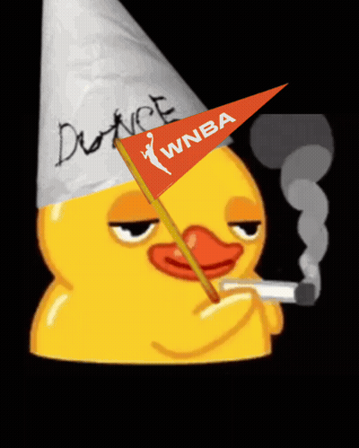 Cartoon Duck In Dunce Hat Smoking WNBA Flag GIF