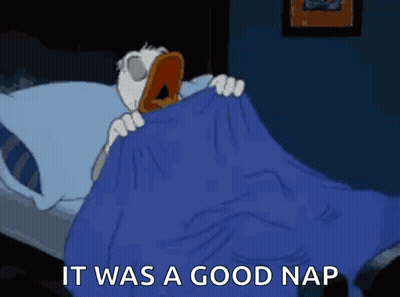 Cartoon Duck Laying In Bed With Blue Blanket GIF