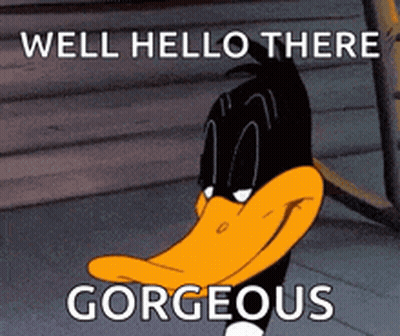 Cartoon Duck Saying Well Hello There Gorgeous GIF