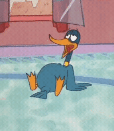 Cartoon Duck Swimming In Pool GIF