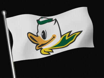 Cartoon Duck With Green Hat On Flag GIF