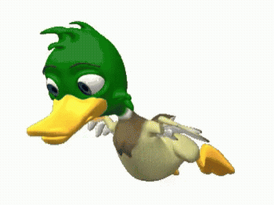 Cartoon Duck With Green Head And Yellow Beak GIF