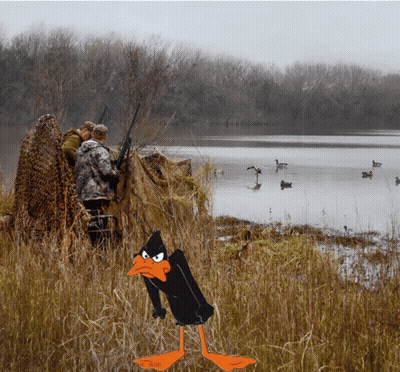 Cartoon Duck With Word Duck On Feet GIF