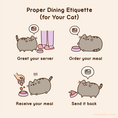 Cartoon Explaining Proper Dining Etiquette For A Cat GIF