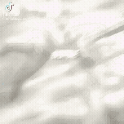 Cartoon Face Close Up With Flying Bird GIF