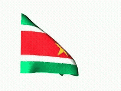 Cartoon Face Flag Flying In Wind GIF