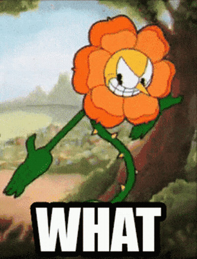 Cartoon Flower Yellow Face Saying What GIF