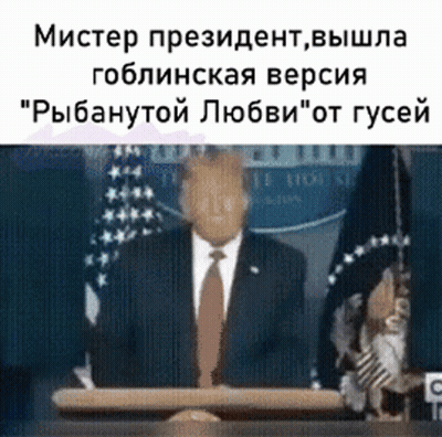 Cartoon Fox Laying Down Saying Give Me Attention GIF