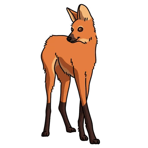 Cartoon Fox Standing On Hind Legs Sticker