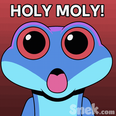Cartoon Frog Saying Holy Moly GIF