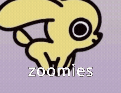 Cartoon Frog Saying Zoomies
