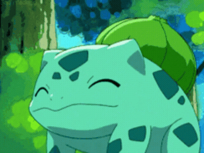 Cartoon Frog With Green Shell Smiling GIF