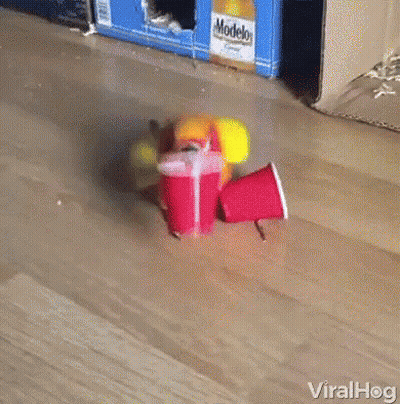 Cartoon Girl Making Funny Face GIF