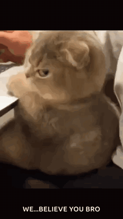 Cartoon Girl With Braces And Flower Smiling GIF