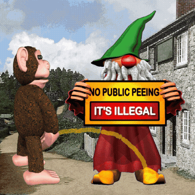 Cartoon Gnome Holding No Public Peeing Sign GIF