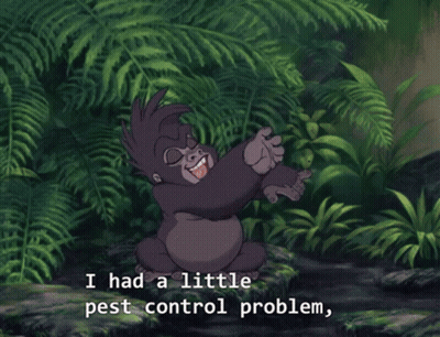 Cartoon Gorilla Saying It's All Taken Care Of GIF