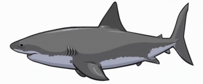 Cartoon Great White Shark GIF