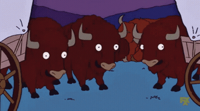 Cartoon Herd Of Bulls In Front Of Wagon GIF