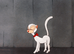 Cartoon High Heels Cat Walking GIF