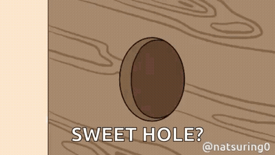 Cartoon Hole In Wooden Wall Saying Sweet Hole GIF
