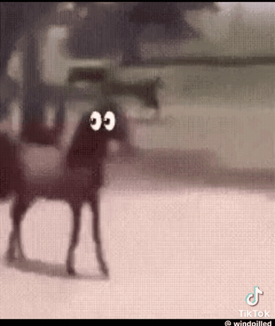 Cartoon Horse With Big Eyes And Siren Head Standing In Snow GIF