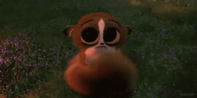 Cartoon Lemur Standing In Flower Field GIF
