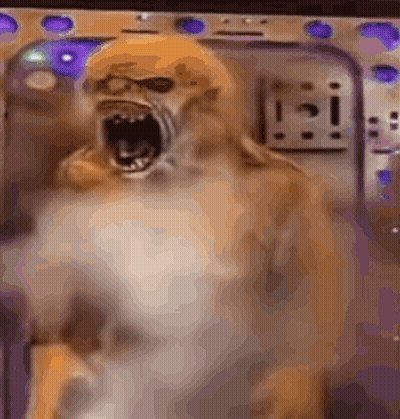 Cartoon Lion Lying On Bed GIF