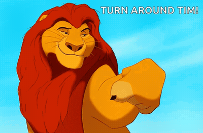 Cartoon Lion Pointing And Saying Turn Around Tim GIF