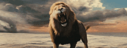 Cartoon Lions Roaring To Emptiness GIF