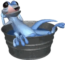 Cartoon Lizard Sitting In Water Bucket Sticker