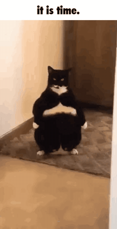 Cartoon Man And Woman GIF