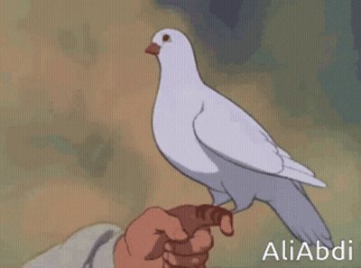 Cartoon Man Holding Bird Aliabdi GIF