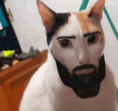 Cartoon Man In NY Hat And Pig T-Shirt GIF