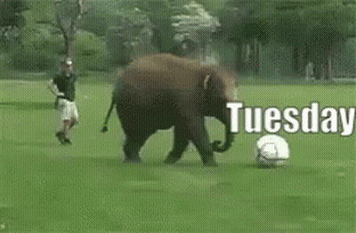 Cartoon Man Leaning Against Wall Monday Feels Like GIF