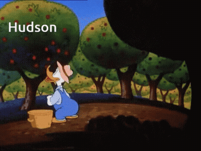 Cartoon Man Picking Apples Hudson GIF