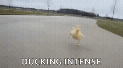Cartoon Man Says That's What She Said Netflix GIF