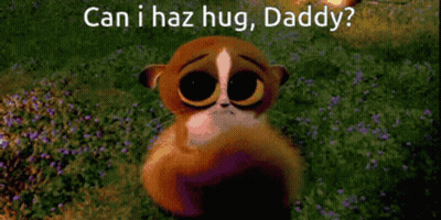 Cartoon Meerkat Saying Can I Haz Hug Daddy GIF