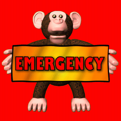 Cartoon Monkey Holding Orange Emergency Sign GIF