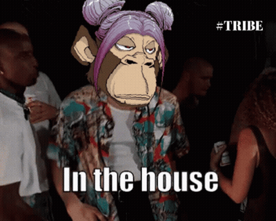 Cartoon Monkey Saying In The House GIF