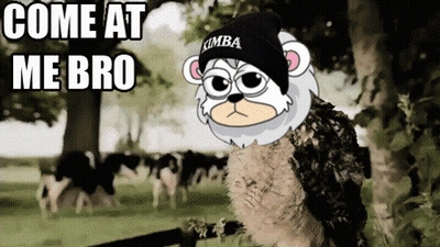 Cartoon Monkey With Umba Beanie GIF