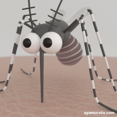 Cartoon Mosquito With Website Ayamurata.com GIF