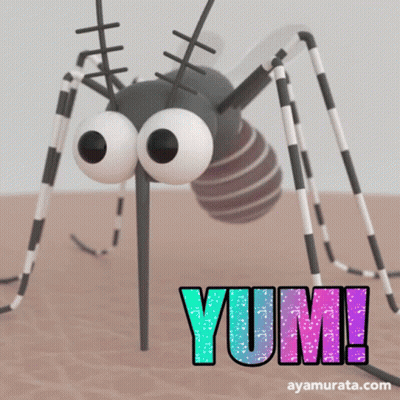 Cartoon Mosquito With Yume GIF