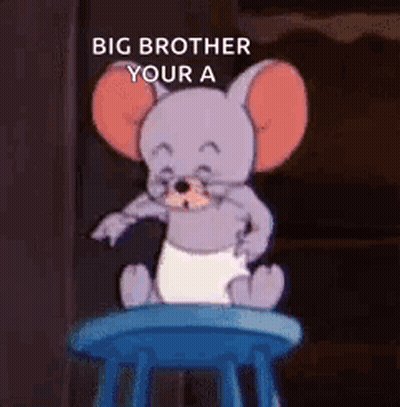 Cartoon Mouse In Diaper On Blue Stool Saying Big Brother Your A GIF