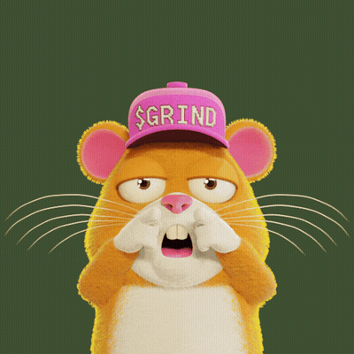 Cartoon Mouse In Pink Hat Saying Grind GIF