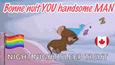 Cartoon Mouse Sleeping Near Rainbow Flag And Maple Leaf GIF